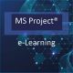 Microsoft Project Intro & Intermediate