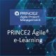 PRINCE2 Agile® Passport Practitioner Exam Bundle | eLearning