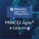 PRINCE2 Agile® Passport Foundation Exam Bundle | eLearning